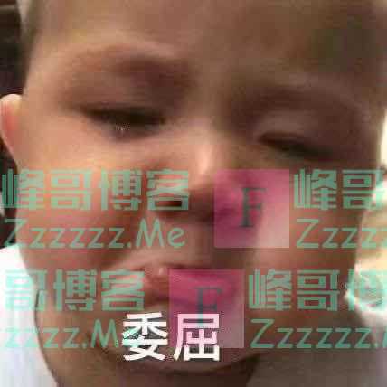 如何骂人不带脏字？哈哈哈哈学到了 这怼的莫名舒爽