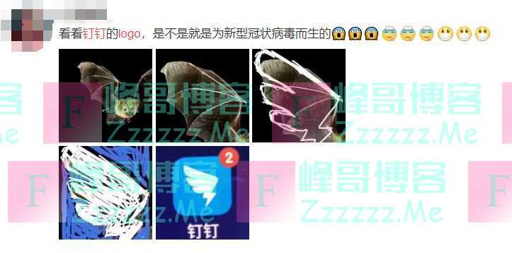 被网友吐槽LOGO像蝙蝠翅膀，钉钉终于忍不住…