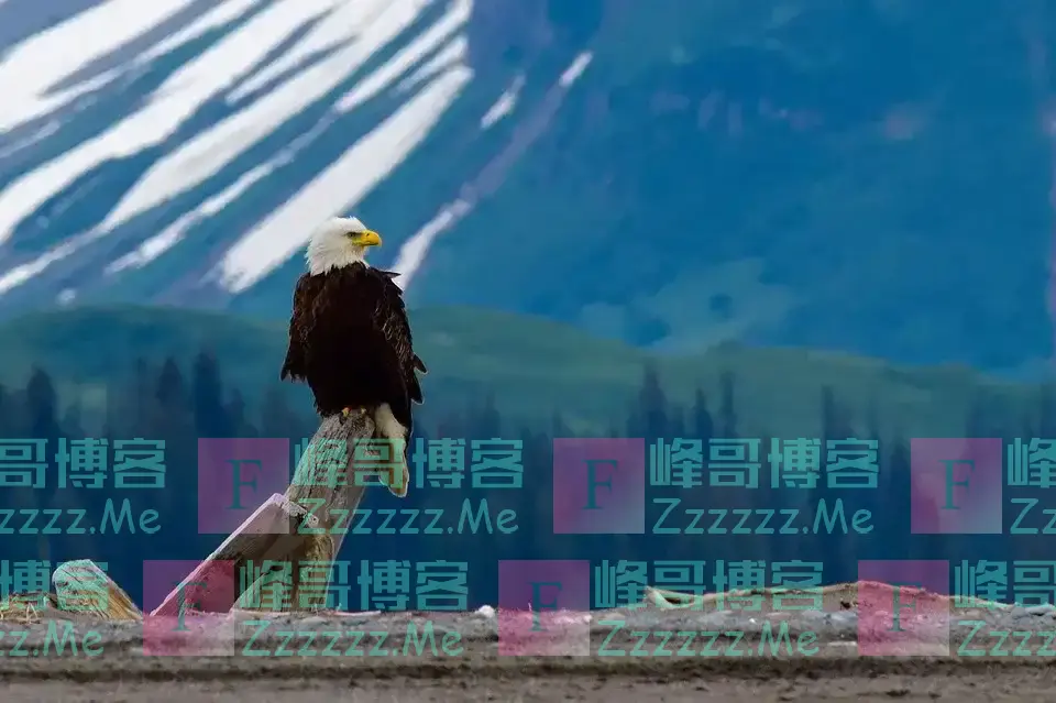 很担心！美国到底会不会赖掉中国持有的国债？