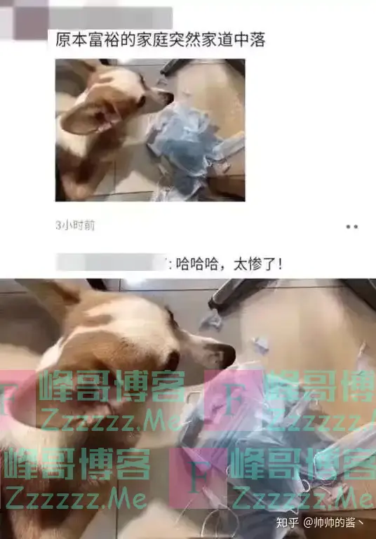 有钱人都是怎样露富的？看完真相的我笑了哈哈哈