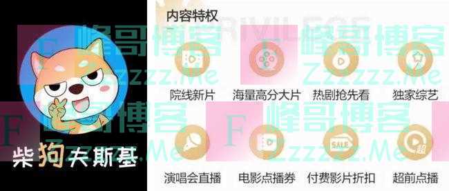 视频网站做个人吧，不要再搞VVIP，SVIP，SSVIP……