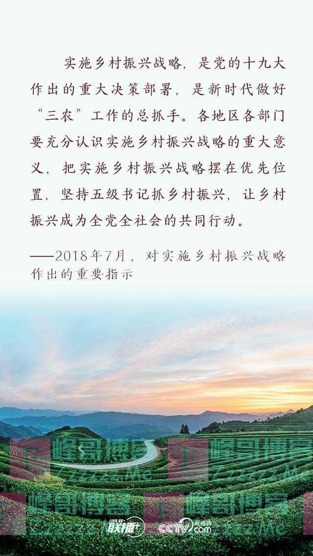 做好“三农”工作，总书记强调这个总抓手