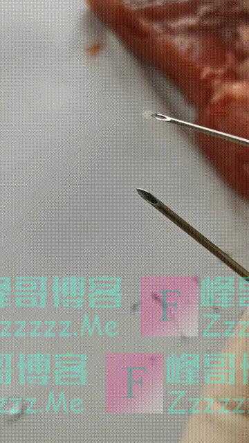 打针时,针芯里的肉去哪里了?我们用一块五花肉做了实验