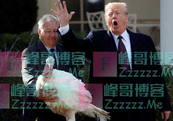 刚上任就面临下台?“拜登撒谎”登上热搜,美民众开始怀念特朗普