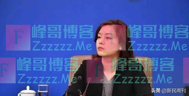 外交部“翻译天团”来了,“四大女神”都是什么来头?