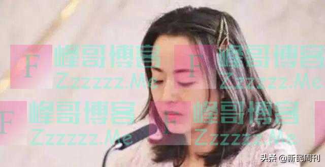 外交部“翻译天团”来了,“四大女神”都是什么来头?