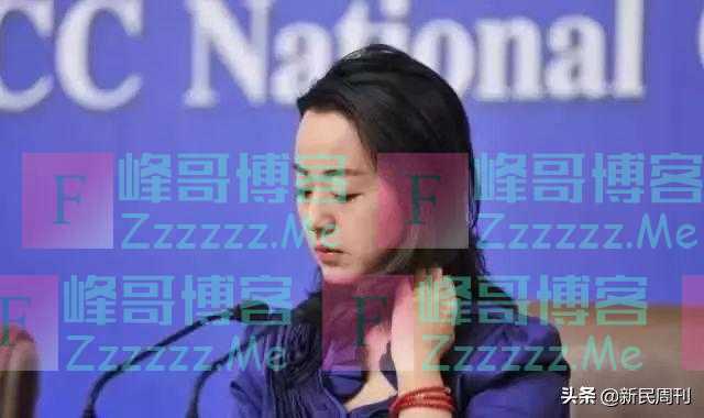 外交部“翻译天团”来了,“四大女神”都是什么来头?