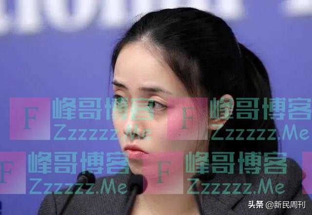 外交部“翻译天团”来了,“四大女神”都是什么来头?