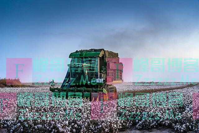 H&M现状曝光:利润直线暴跌,裁员上万,全球3000门店关闭