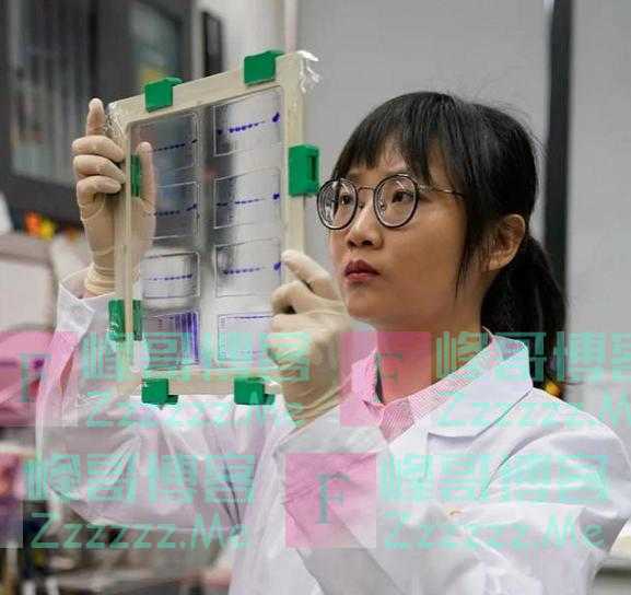 杭州90后科学家白蕊：科研事业是为国争光，我们不做，中国还有谁去做？