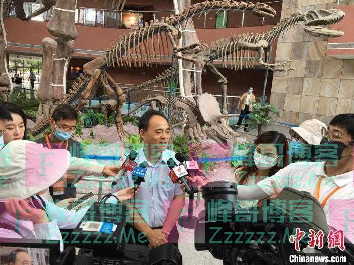 广东河源新发现7块距今1.82亿年的“菊石化石”