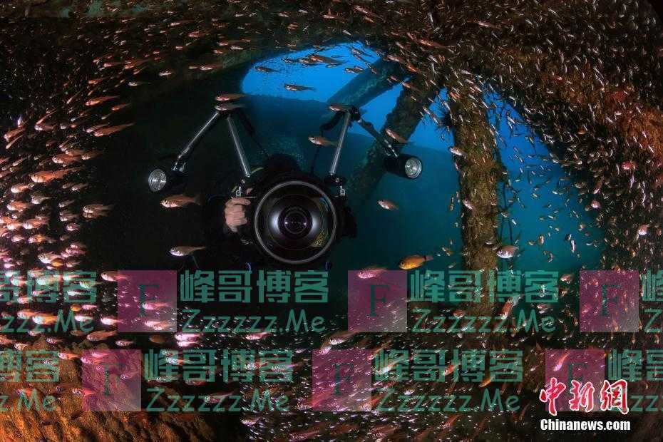 水下摄影师拍三亚：海底世界惊艳曝光