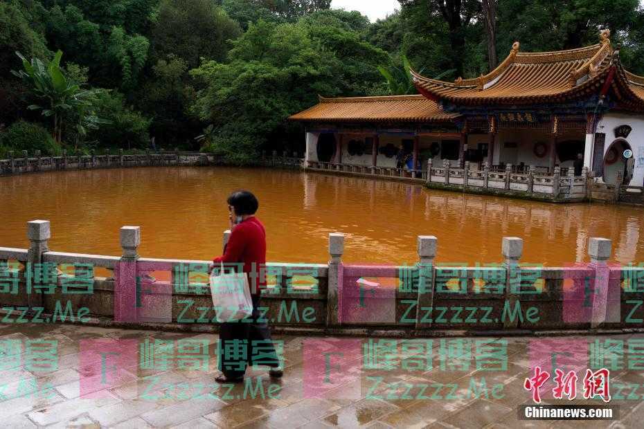 昆明黑龙潭水变色 专家称因地质构造所致