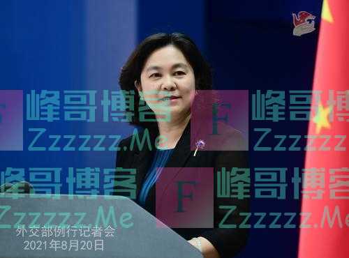 华春莹：民主不是可口可乐全世界一个味 很多中国人喜欢北冰洋