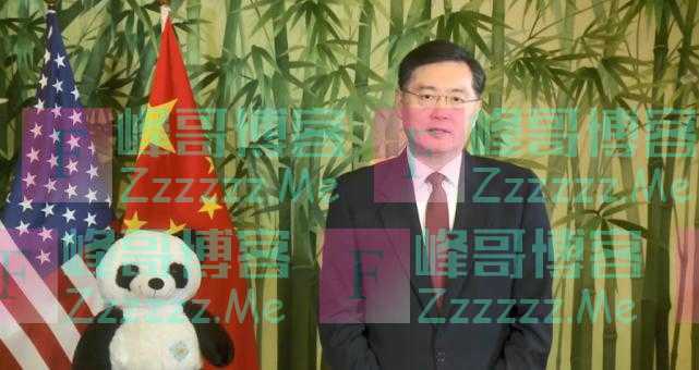 秦刚向美国国家动物园大熊猫“小奇迹”致周岁生日祝福