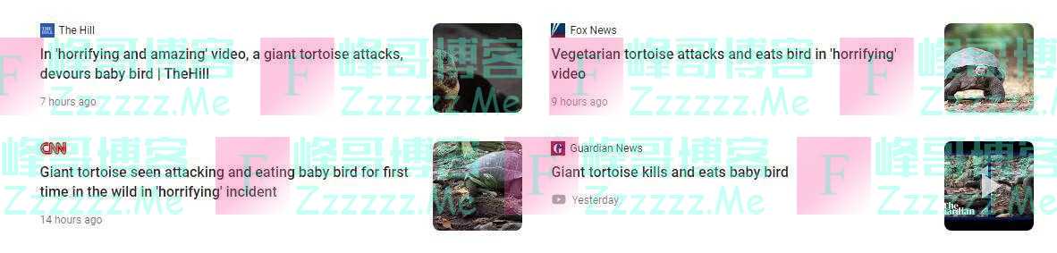多家外媒报道一“可怕视频”：塞舌尔巨型陆龟捕食雏鸟，一口咬死