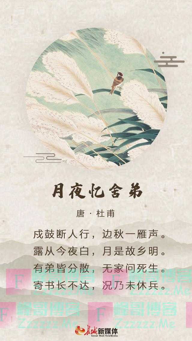 白露诗节丨风帘夜凉入 露簟秋意生