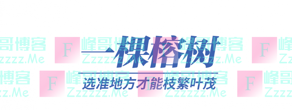 一树一桥一首歌，看大湾区的大未来