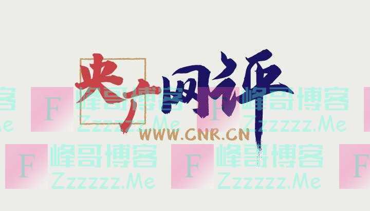 「央广网评」屡上热搜的第八次国务院大督查呼唤 长效督查永不落幕