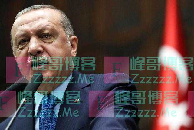 土耳其总统抱怨世界秩序“不公正”：由赢得二战“少数国家”主导