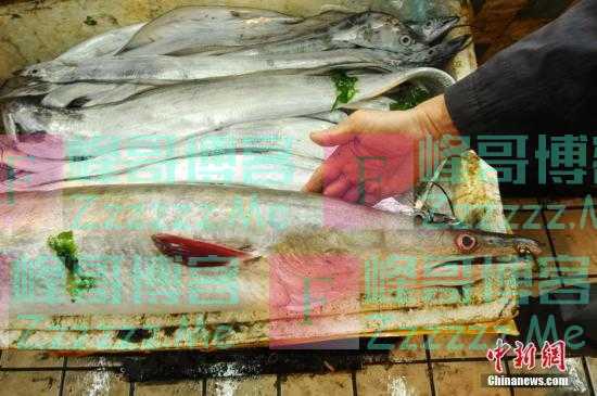 日本把海参、鲍鱼和鳗苗流通列入管制对象以防偷捕
