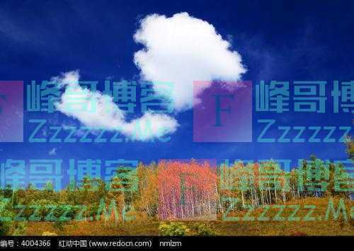生命的契约