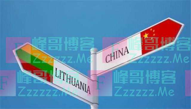 又大放厥词！立陶宛外交部副部长竟称中国对待立的方式为欧洲敲“警钟”