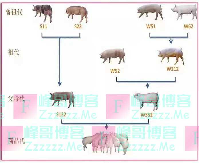 温氏股份荣获神农中华农业科技奖科学研究类成果一等奖