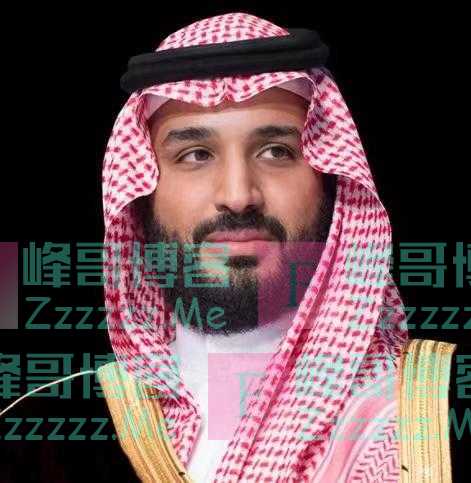 外媒：沙特王储宣布建立世界上第一个非盈利城市