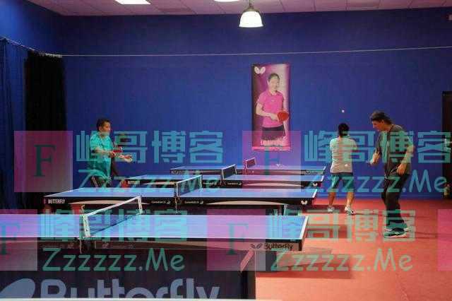 当美国人爱上打乒乓，休斯敦球馆都贴着刘诗雯海报