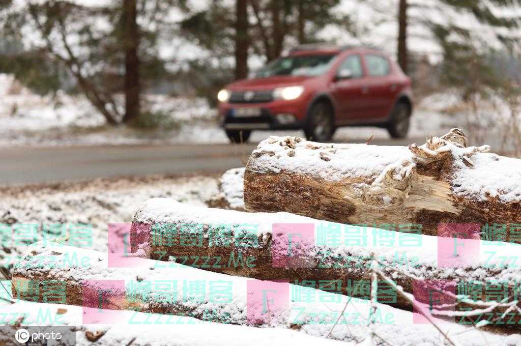 德国哈茨山区遇降雪 银装素裹美如画