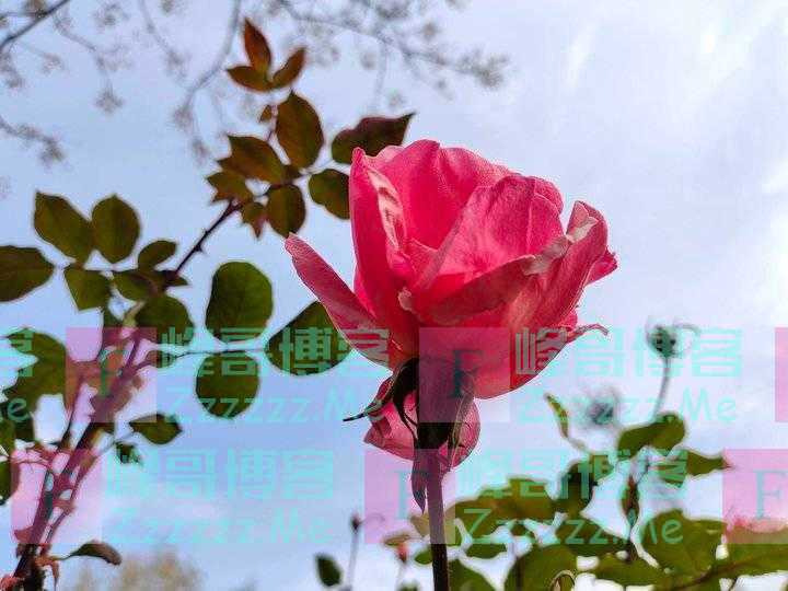 我们如何管教孩子