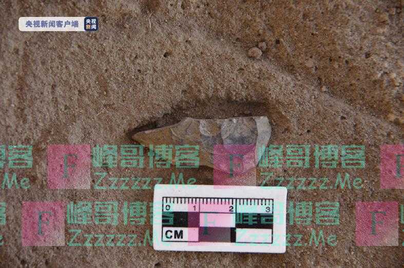 国家文物局发布4项西藏考古重要发现