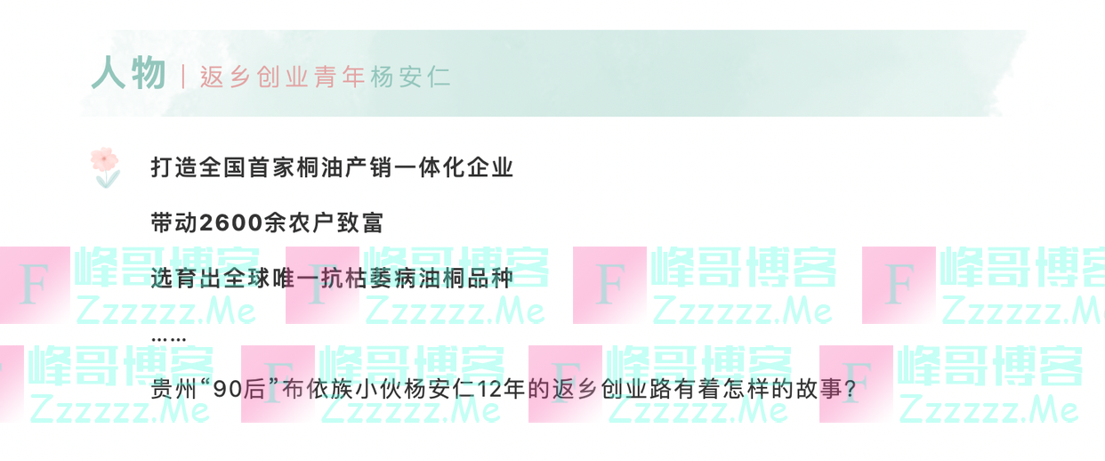 90后扎根荒山12年，育成全球唯一抗枯油桐！