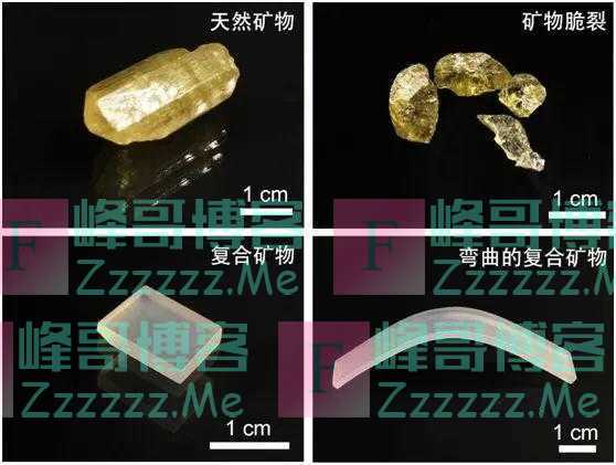 安徽：发现新的“可塑之材”石头竟能被改造成塑料