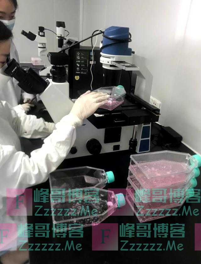 4年磨一剑！广东医生用纳米材料修复子宫