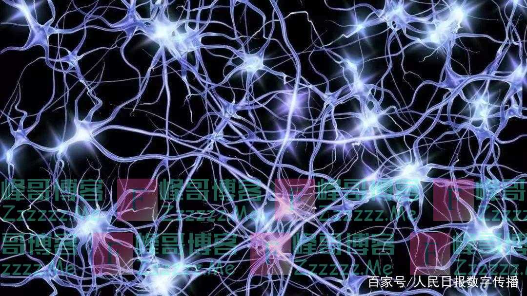 大脑中发现“数学神经元”