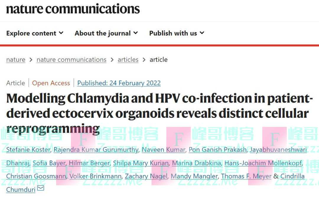 HPV并不是宫颈癌唯一的「元凶」？这种微生物化身「帮凶」，共同促进癌症发生