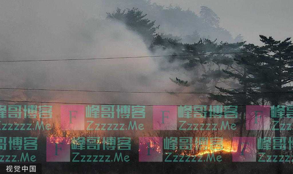 韩国山林大火仍在持续 消防人员全力维护核电站安全