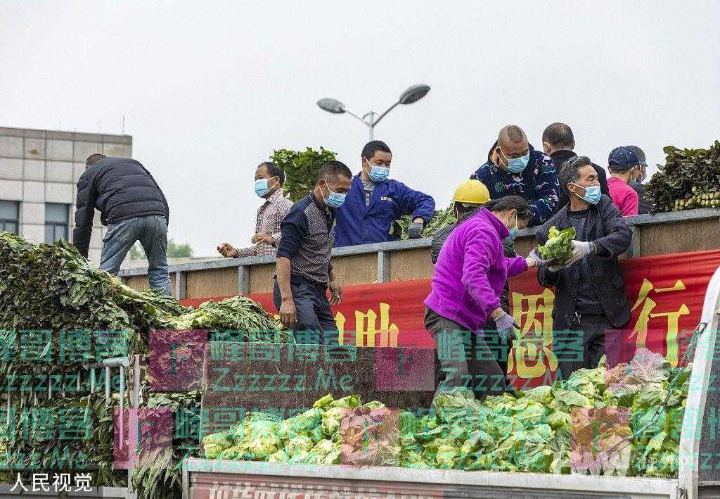 携手抗疫 四川都江堰120余吨蔬菜连夜运往上海