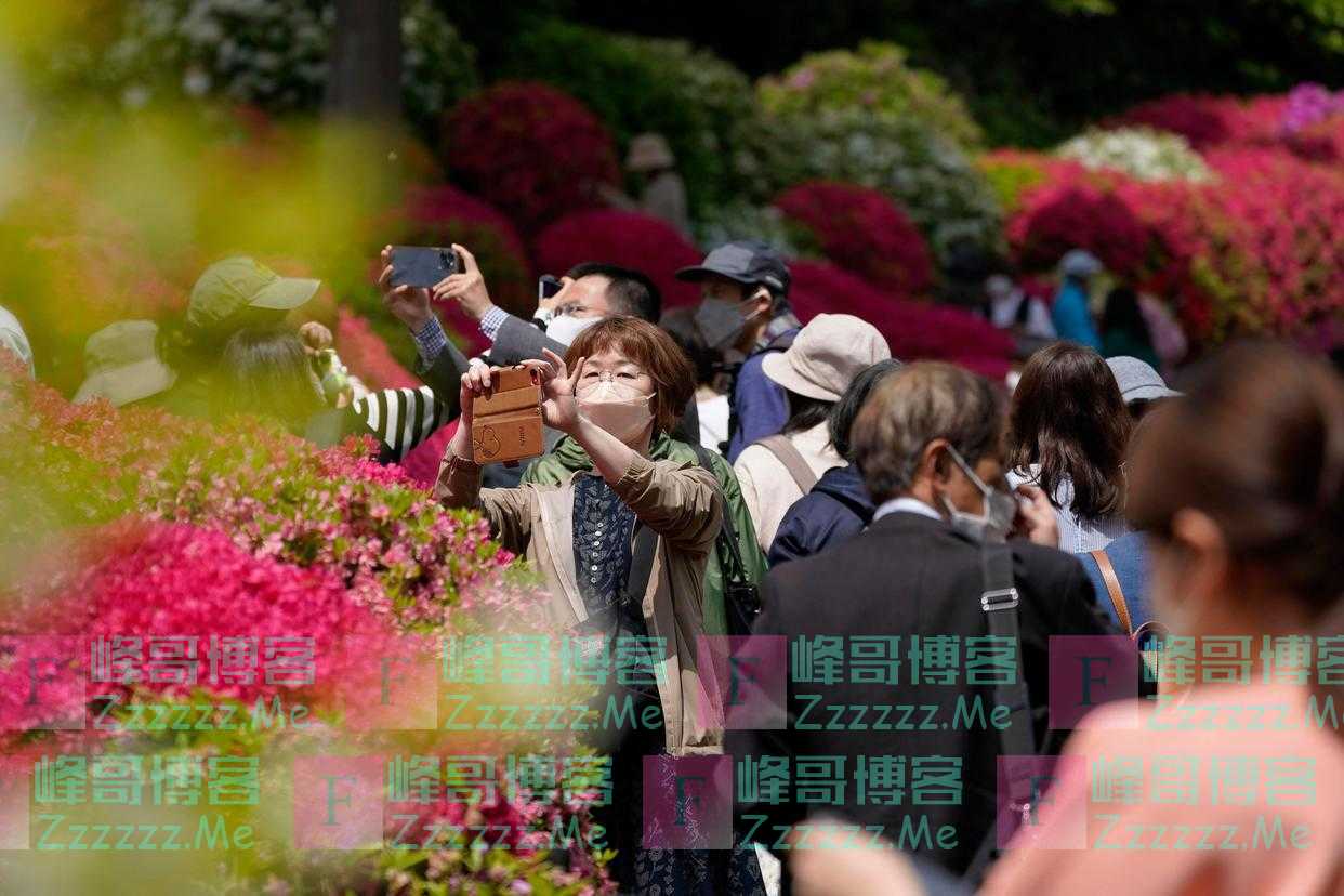 日本：赏杜鹃花