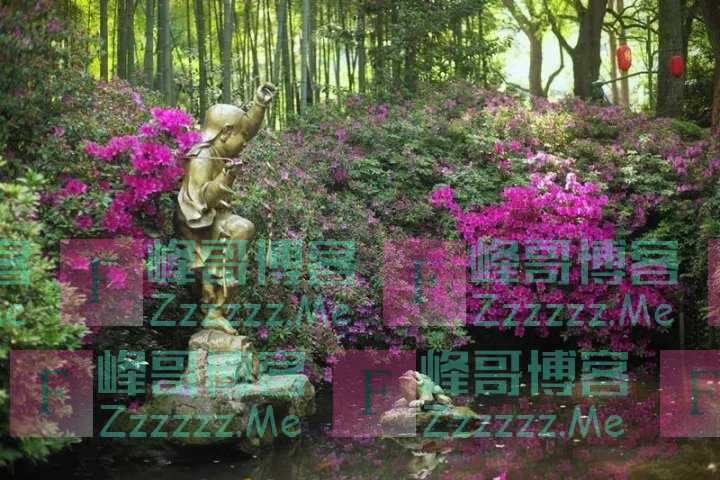 是“高华可爱的美木”没错了，杭州植物园粉嫩“网红楸”渐入佳境