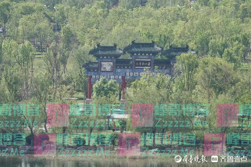 华山“湖”湖拍｜暮春时节的公园郁郁葱葱