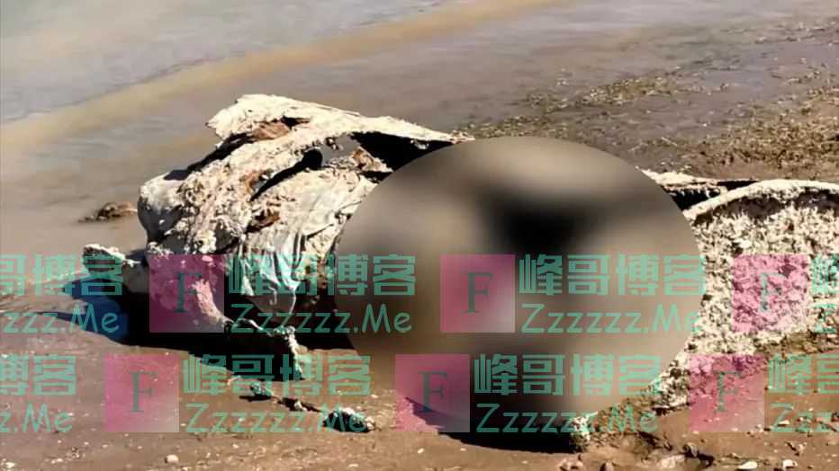 外媒：美国最大水库水位骤降，惊现多具湖底藏尸