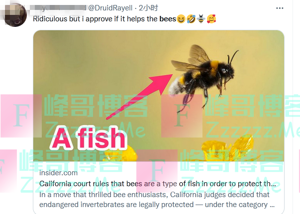 加州法官裁定大黄蜂是鱼类一种，网友看到背后原因，送上这个表情