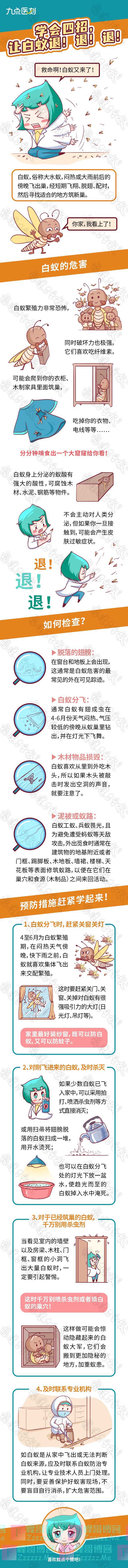 学会四招，让白蚁退！退！退！
