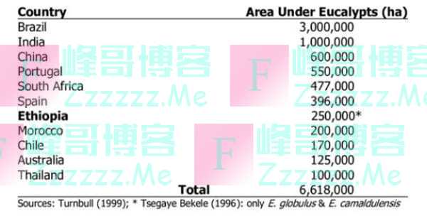 全球奇树还是全球诅咒——桉树的历史