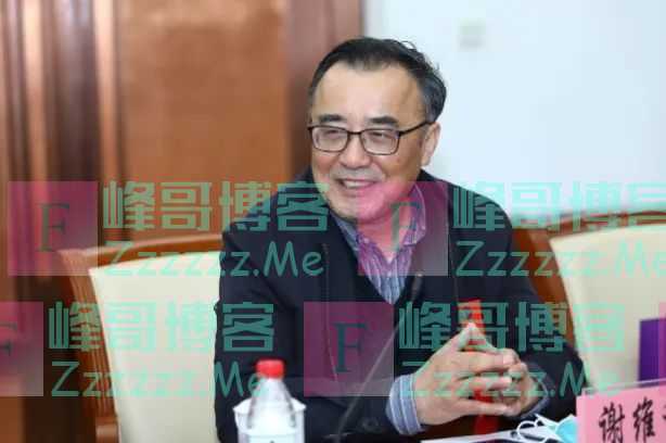 一个孩子童年最大的幸福：是被允许做这4件“无用的事”