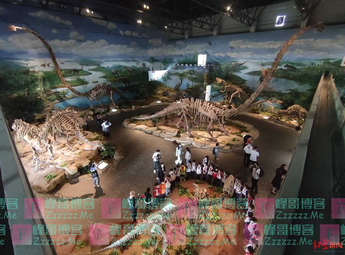 “侏罗纪3”掀起恐龙热 专家：今后的恐龙题材电影，多出现中国恐龙元素