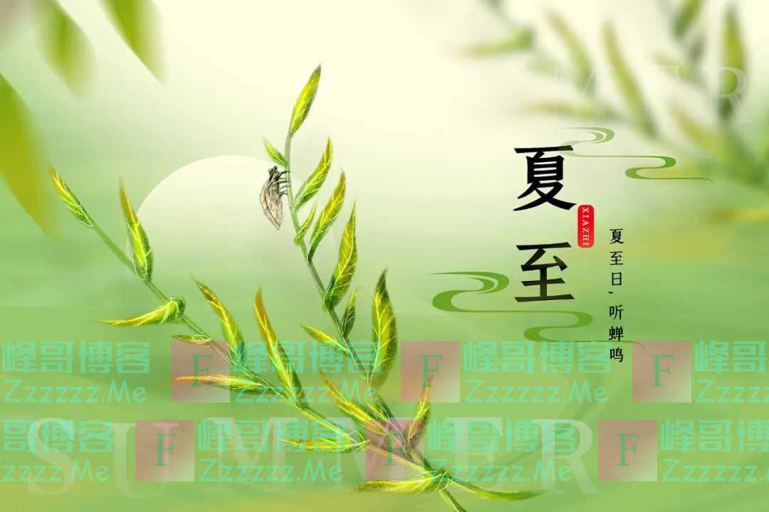 最长长长长的白昼里，最最最最可爱的是你！